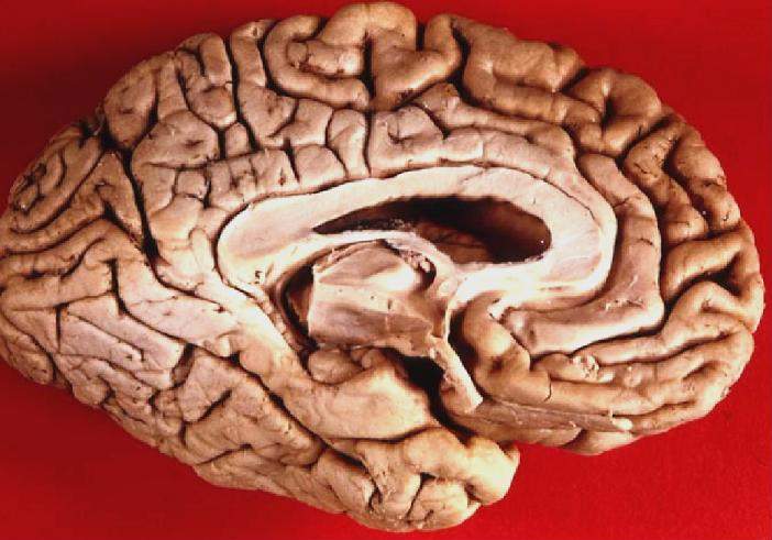 Why Your IQ Test Score Changes Over Time