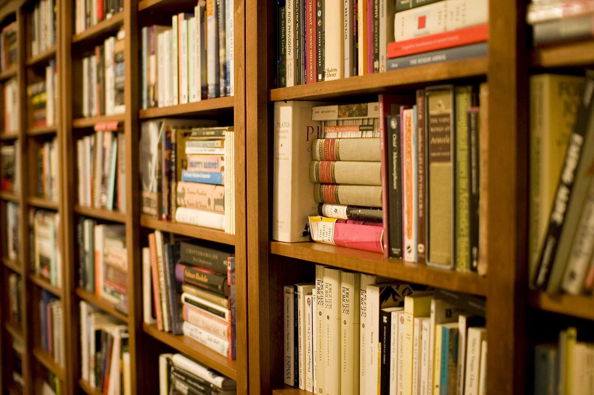 How Many English Words Do I Know? Reading a Vocabulary Size Estimate